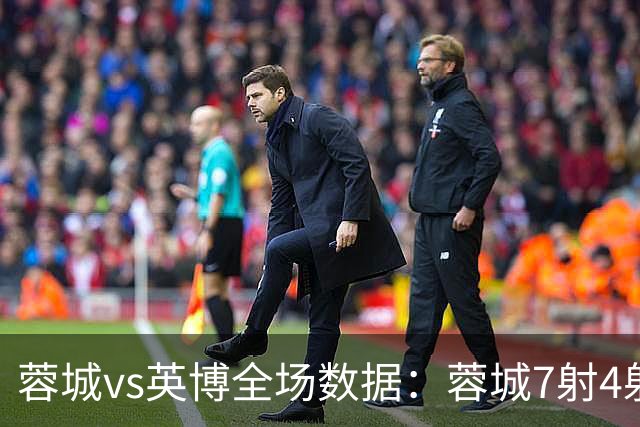 蓉城vs英博全场数据：蓉城7射4射正，英博控球率56%占优
