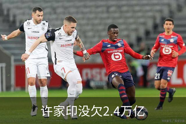 许家印没欠2.4万亿