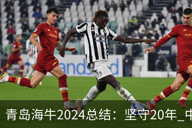 青岛海牛2024总结：坚守20年 中能的拼争与困境