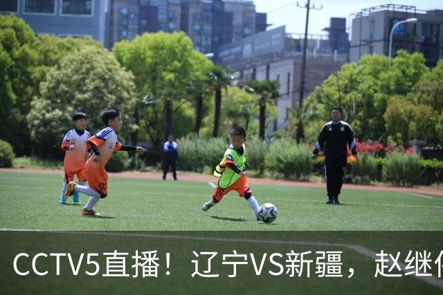 CCTV5直播！辽宁VS新疆，赵继伟伤停，张陈带伤上阵，手帝最新伤情报告！